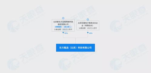 新东方的15家新公司,主要在做啥